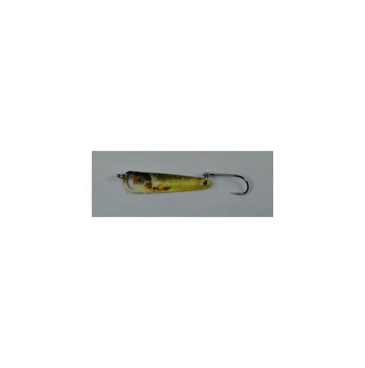 Elgin God's Tooth Gold Shiner