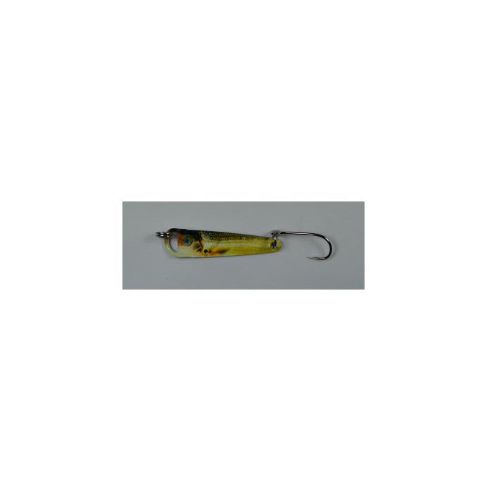Elgin God's Tooth Gold Shiner